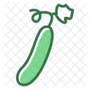 Cucumber Food Vegetable Icon