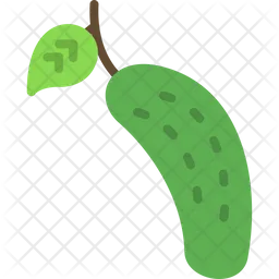 Cucumber  Icon