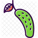 Cucumber  Symbol