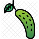 Cucumber Cucumiform Pickling Icon
