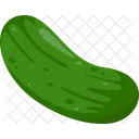 Cucumber Salad Green Icon