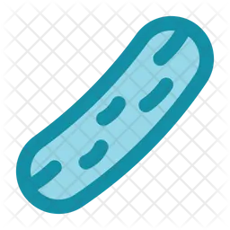 Cucumber  Icon