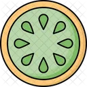 Cucumber Cucumis Sativus Icon Icon