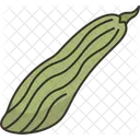 Cucumber Armenian Vegetable Icon