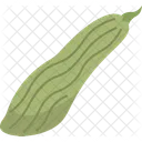 Cucumber Armenian Vegetable Icon