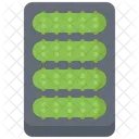 Cucumber Box  Icon