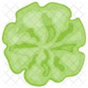 Cucumber Flower Design  Icon