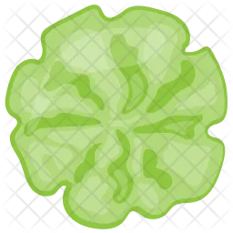 Cucumber Flower Design  Icon