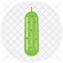 Cucumber Food Salad Icon