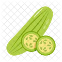 Fresh Food Healthy Icon