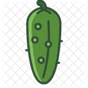 Cucumber Vegetable Garden Icon