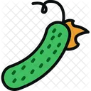 Cucumber Vegetable Food Icon