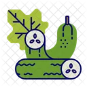 Cucumber Icon