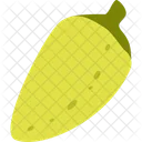 Cucumber Suri  Icon