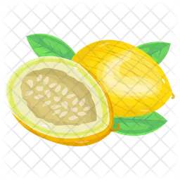 Cucumis Melo  Icon