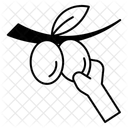  Icône