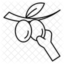  Icône