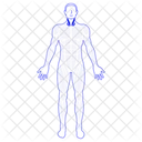 Cuello De Hombre Icono