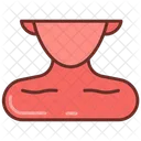 Cuello Clavicula Hombro Icono