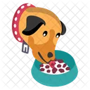 Animal Perro Comiendo Icon