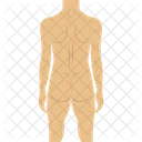 Cuerpo Humano Desnudo Desnudo Icono