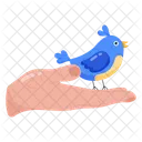 Cuidado de aves  Icono