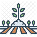 Cultivar Brotar Crecer Icon