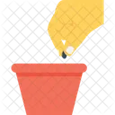 Cultivar Primero Implantar Icon