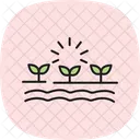 경작지 경작된 밭 아이콘