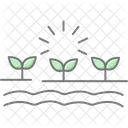 Cultivated Field Cultivated Field Icon