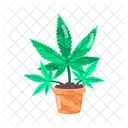 Cultivating Cannabis  Icon
