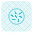 Cultivation Bacteria Virus Icon