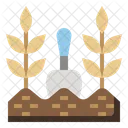 Cultivation Plant Gardening Icon