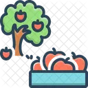 Cultivo de frutas  Icono