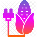 Cultivo de maíz  Icono