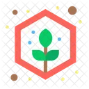 Planta crece  Icono