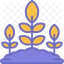 Cultivo de trigo  Ícone