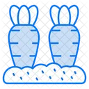 Cultivo de zanahoria  Icono