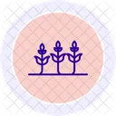 Cultivo De Cultivos Cultivo Cultivos Icono