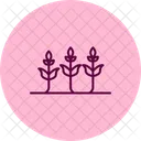Cultivo De Cultivos Cultivo Cultivos Icono