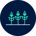 Cultivo De Cultivos Cultivo Cultivos Icono