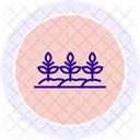 Cultivos En Hileras Rectas Recta Hilera Icono