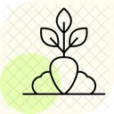 Cultivos Sanos Saludables Cultivos Icono