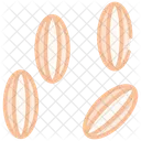 Cumin Seed Icon