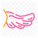 Cupeydon Wing Bird Feather Feather Icon