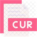 Cur Format Type Icon