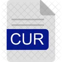 Cur  Symbol