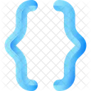 Curly Brackets Brackets Web Icon