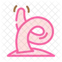 Curly Tail Pig Icon