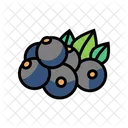 Currant Berry Icon